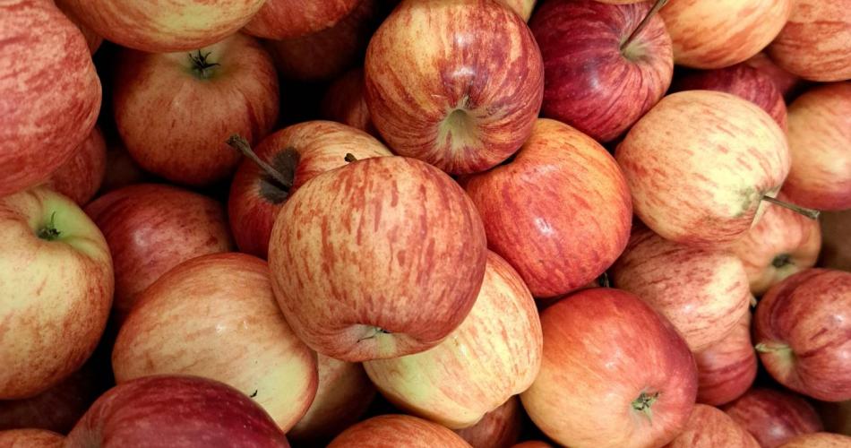 Äpfel